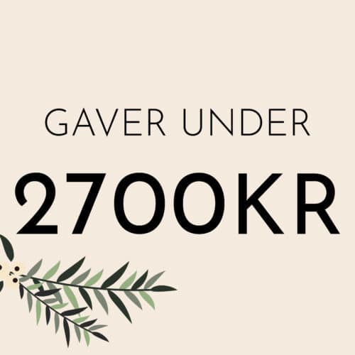 Gift Guide - Gaver under 2700 kroner